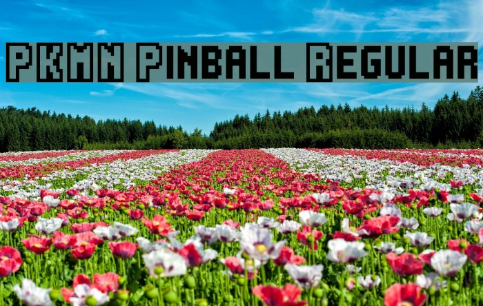 PKMN Pinball Regular Font examples