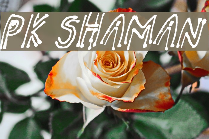 pk shaman Font examples