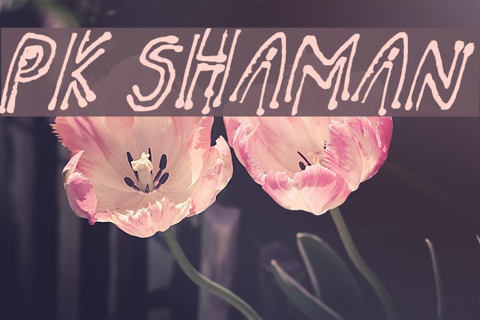 pk shaman Font examples