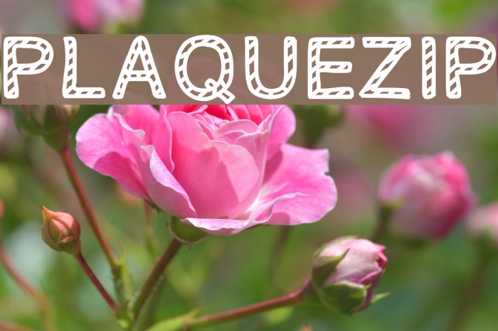 PLAQUEZIP Font examples