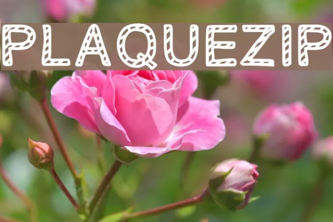PLAQUEZIP Example 3