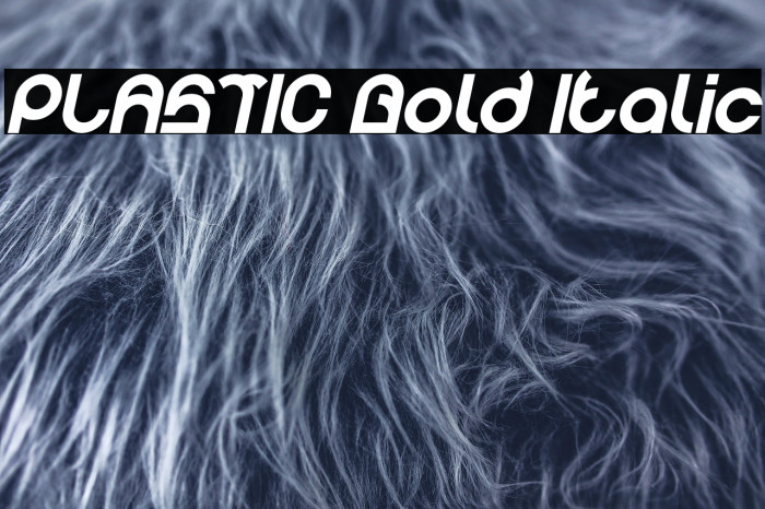 PLASTIC Bold Italic Example 2