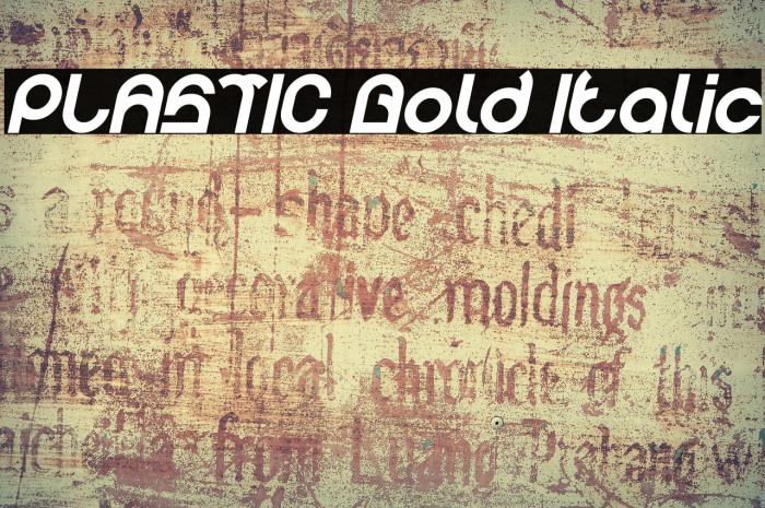 PLASTIC Bold Italic Example 3
