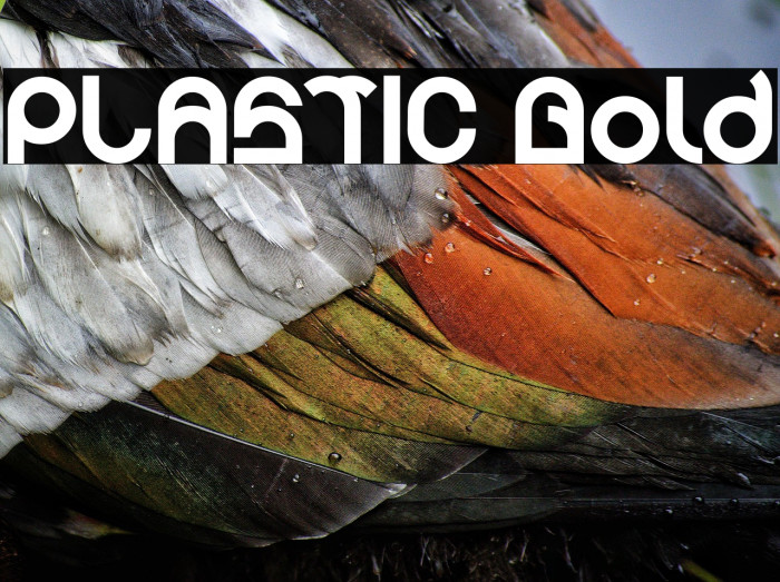 PLASTIC Bold Example 1