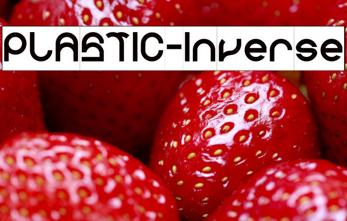 PLASTIC-Inverse Example 1