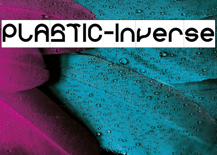 PLASTIC-Inverse Example 2