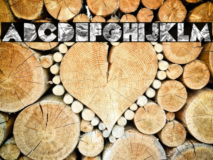 PLASTICDOTS PERSONAL USE Regular Example 1