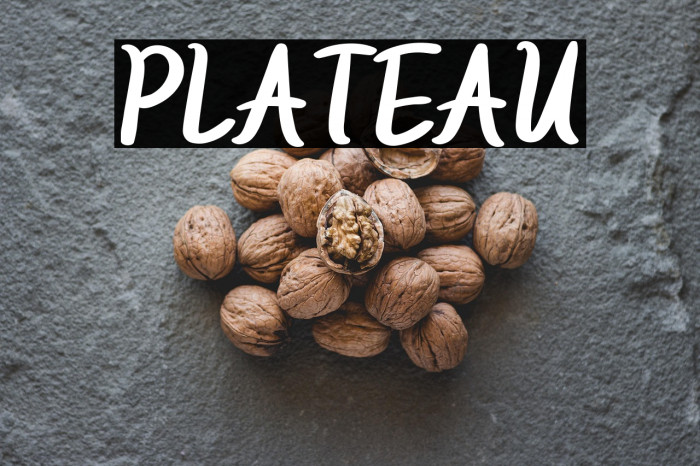 PLATEAU Шрифта examples