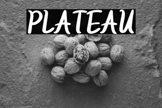 PLATEAU Font examples