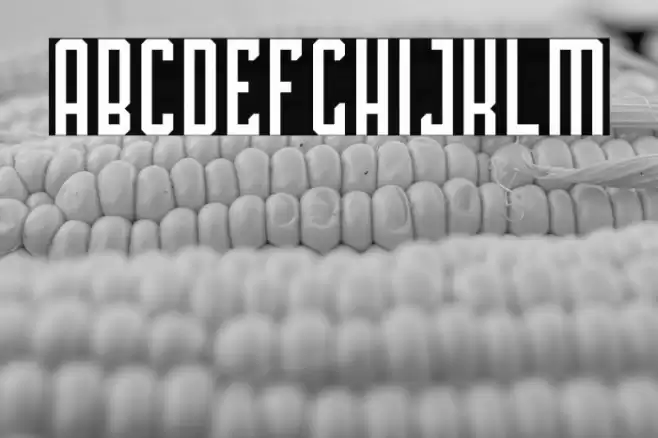 PLATINA Font examples