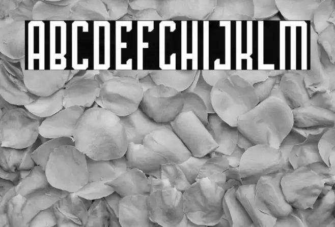 PLATINA Font examples