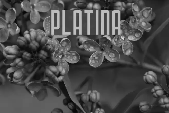 PLATINA Fuentes examples