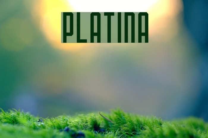PLATINA Font examples