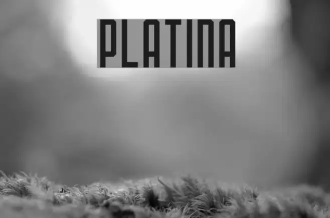 PLATINA Fuentes examples