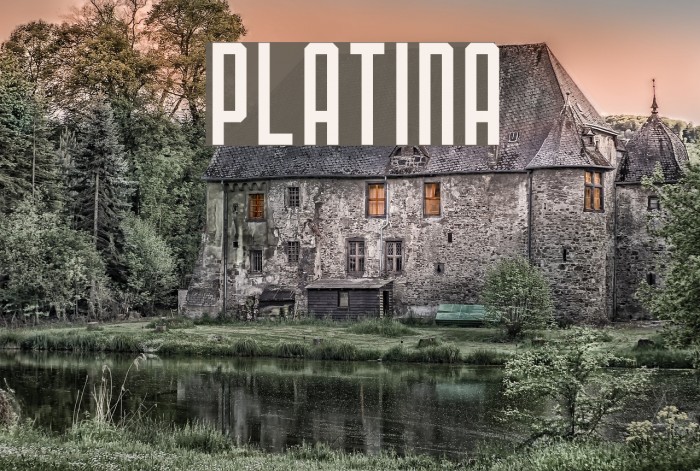 PLATINA Font examples