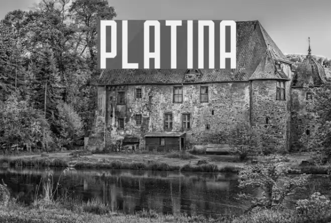 PLATINA Fuentes examples