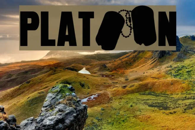 PLATOoN Example 2