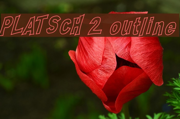 PLATSCH 2 outline フォント examples
