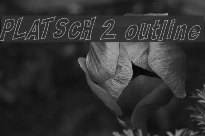 PLATSCH 2 outline フォント examples