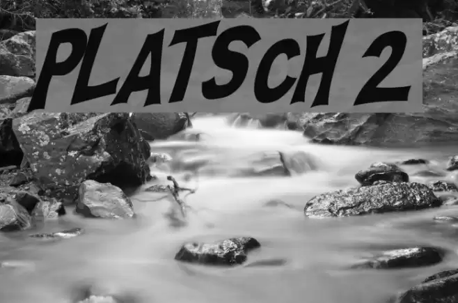 PLATSCH 2 フォント examples