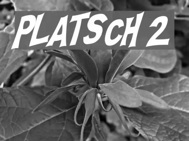 PLATSCH 2 フォント examples