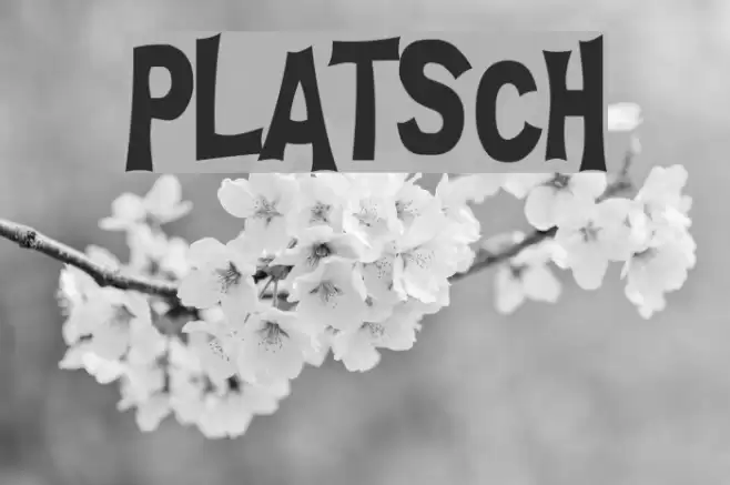 PLATSCH フォント examples