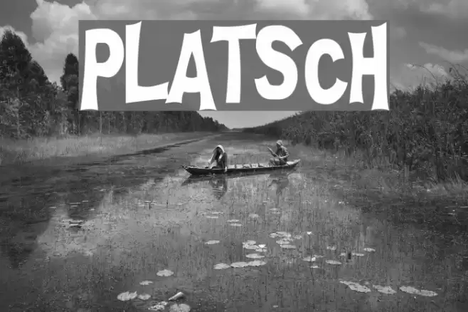 PLATSCH フォント examples