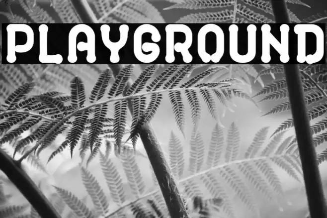 PLAYGROUND Font examples