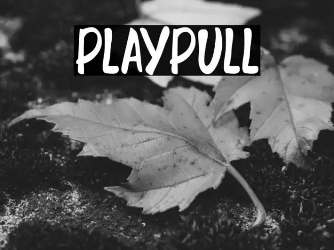 PLAYPULL Font examples