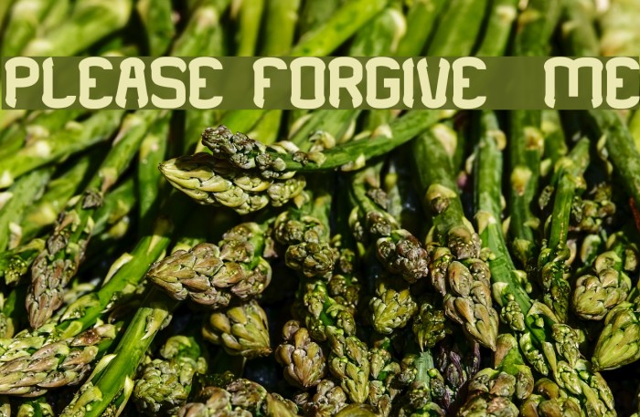 PLEASE FORGIVE ME Font examples