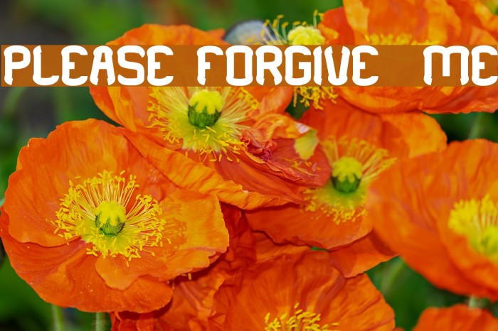 PLEASE FORGIVE ME Font examples