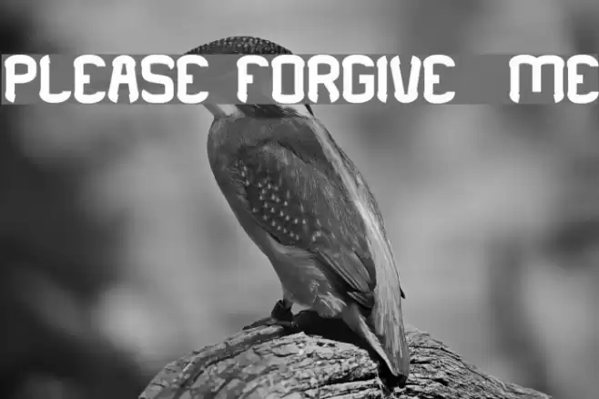 PLEASE FORGIVE ME Шрифта examples