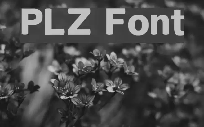 PLZ Font examples
