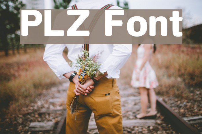 PLZ Font examples