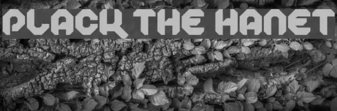 Plack the Hanet Font examples