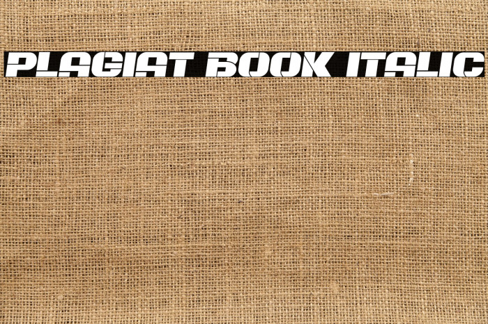 Plagiat Book Italic Font examples