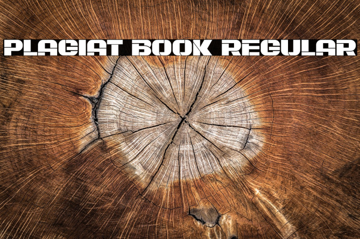 Plagiat Book Regular Font examples