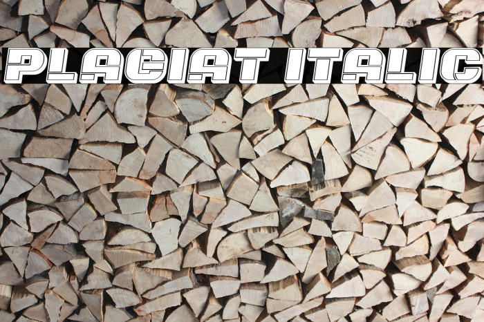 Plagiat Italic Font examples