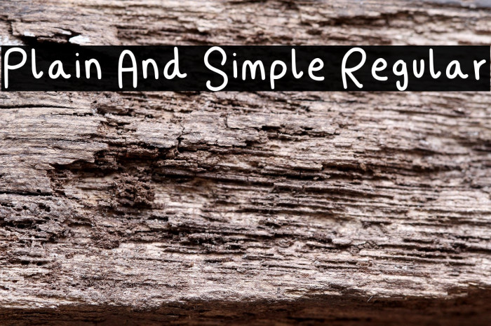 Plain And Simple Regular Example 1