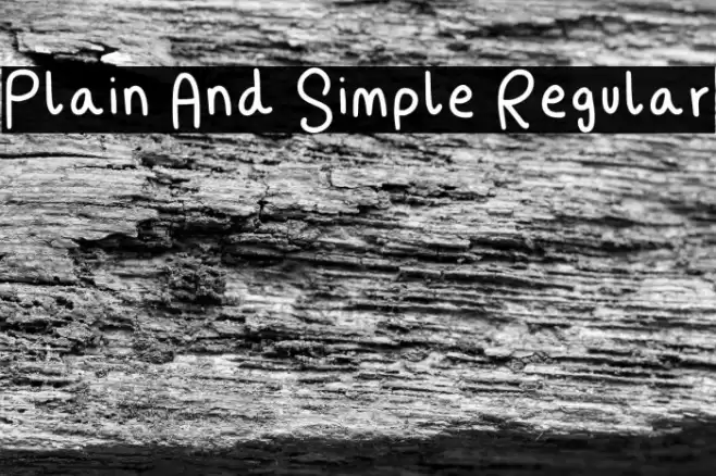 Plain And Simple Regular Font examples