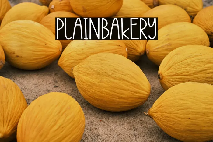Plain Bakery Example 3