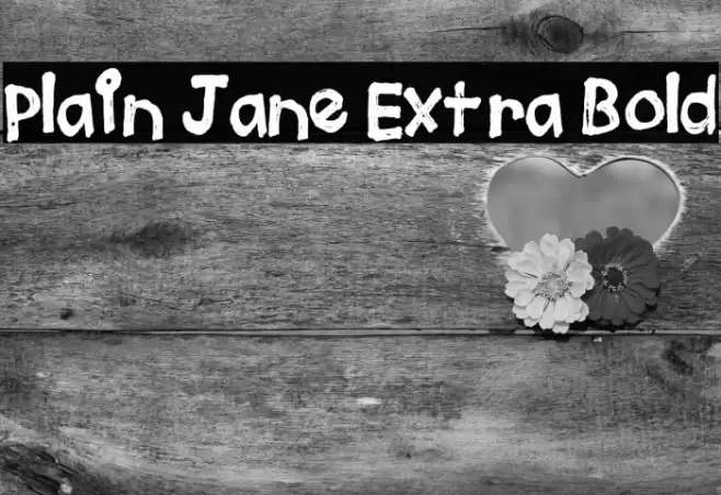 Plain Jane Extra Bold Font examples