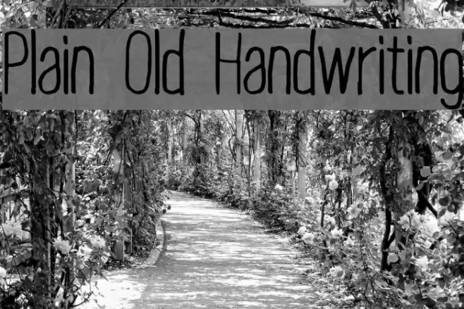 Plain Old Handwriting Font examples