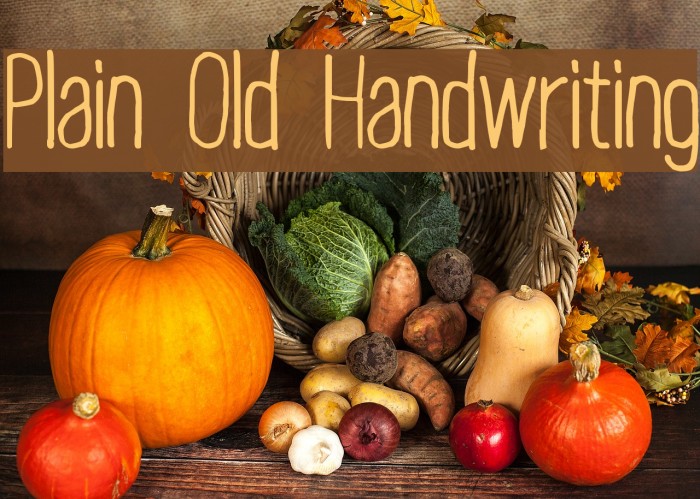 Plain Old Handwriting フォント examples