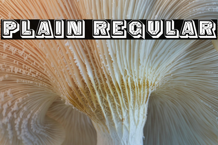 Plain Regular Example 2