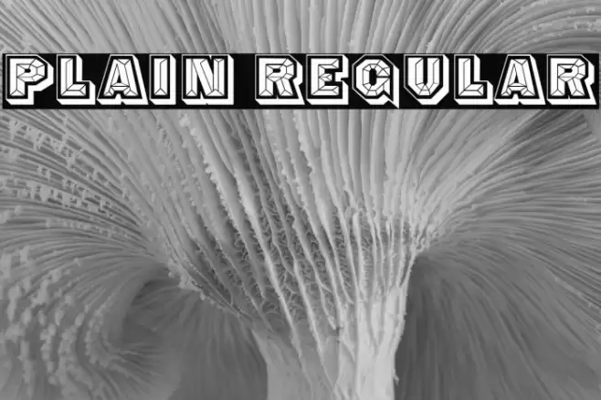 Plain Regular フォント examples