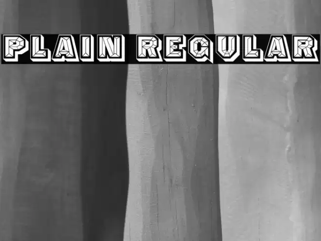 Plain Regular フォント examples