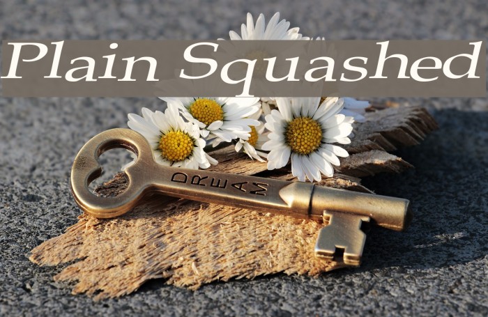 Plain Squashed Font examples