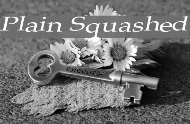 Plain Squashed Font examples