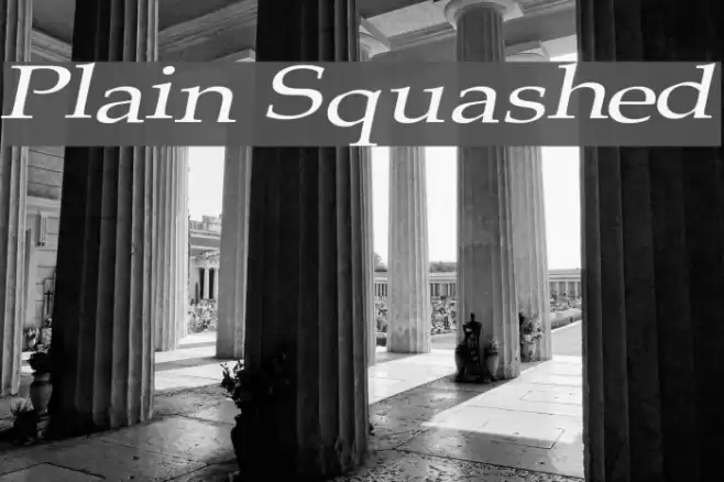 Plain Squashed Font examples
